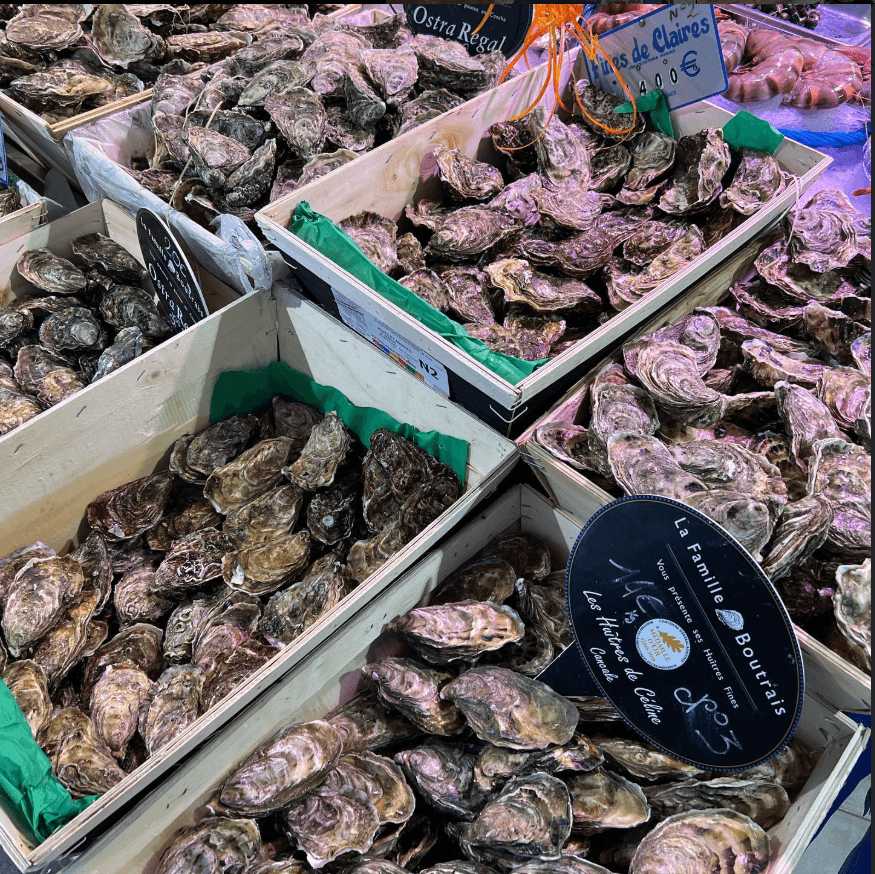 photo d'un étalage d'huitre